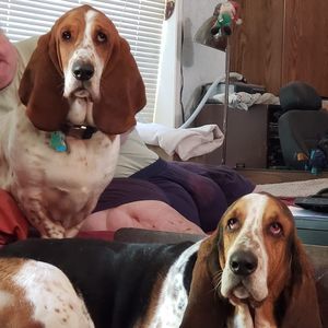 Meet your Posher, Dana